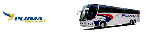 Pluma Internacional bus company